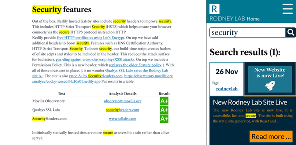 New Rodney Lab Site: Rodney Lab new site UX optimized search results.