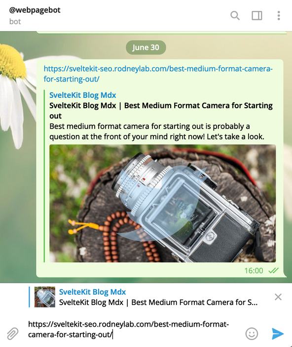 SvelteKit SEO: Telegram: Webpage Bot: Telegram conversation screenshot for conversation with the web page bot.  User has typed a U R L as a message and the message window displays a social sharing card featuring images and text set by the site's meta.