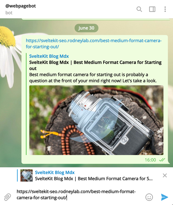 SvelteKit SEO: Telegram: Webpage Bot: Telegram conversation screenshot for conversation with the web page bot. User has typed a U R L as a message and the message window displays a social sharing card featuring images and text set by the site's meta.